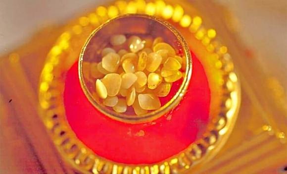 Phật giáo, xá lợi, xá lợi là gì