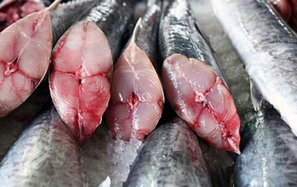 cá hồi, cá thu, sức khỏe