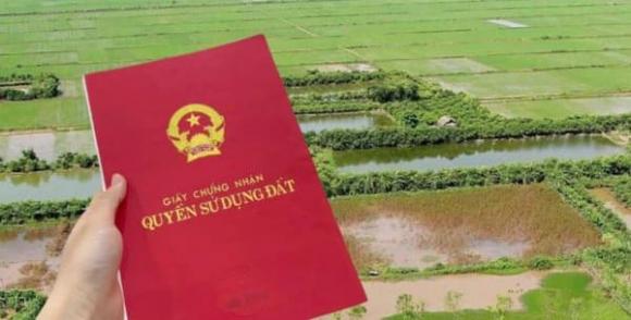 Tự ý chuyển đất trồng lúa sang đất ở, vi phạm đất đai, luật đất đai