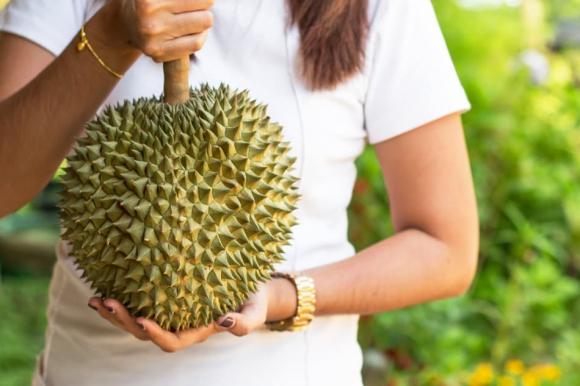 cách chọn sầu riêng ngon, chọn sầu riêng, lưu ý khi chọn sầu rien