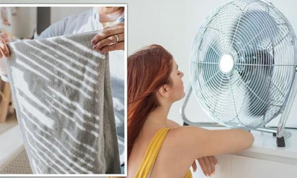 cuộn giấy, tủ lạnh, tiết kiệm điện