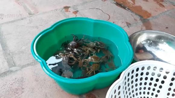 canh cua, mẹo nấu ăn, móm ngon
