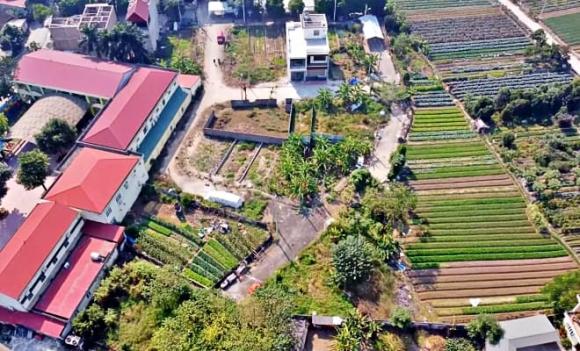 đất đai, đất từ thời ông bà, sổ đỏ, giấy chứng nhận quyền sử dụng đất