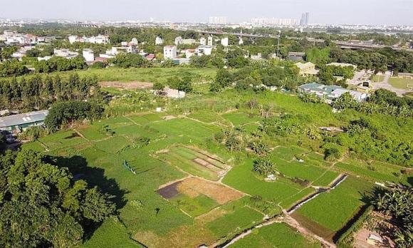 thu hồi đất, bị thu hồi đất, kiến thức