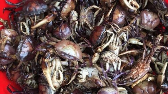 canh cua, mẹo nấu ăn, móm ngon