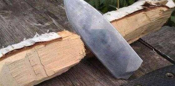 gỗ bạch dương, vua gỗ, kiến thức