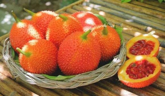 Quả gấc, tác dụng của quả gấc