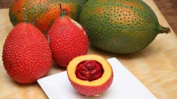 Quả gấc, tác dụng của quả gấc