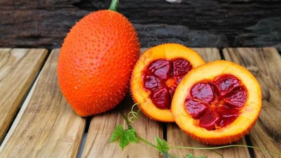 Quả gấc, tác dụng của quả gấc