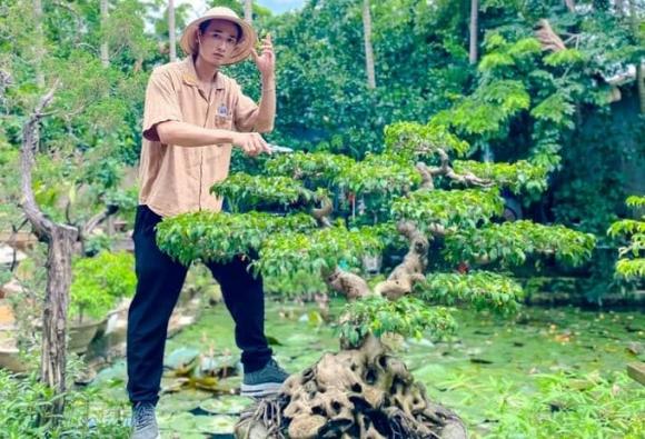 Cây sanh, cây bonsai, cây tứ linh của việt nam