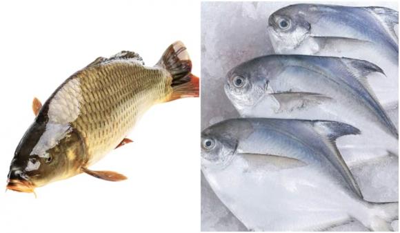 mẹo chọn cá, mẹo vặt, nấu ăn ngon