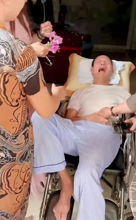Thái Hòa, Khi đàn chim trở về, sao việt