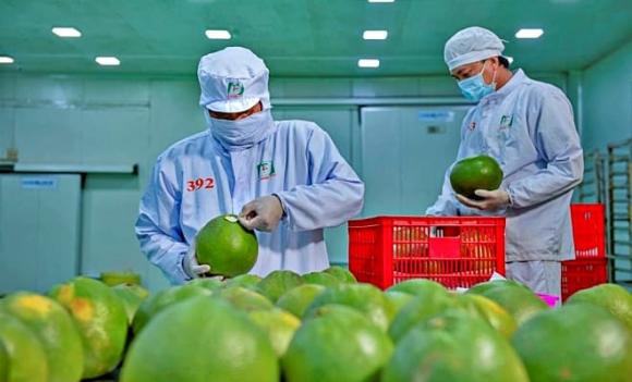 sầu riêng, quả bưởi, Việt Nam, Hoa Kỳ, Mỹ, thuế nhập khẩu