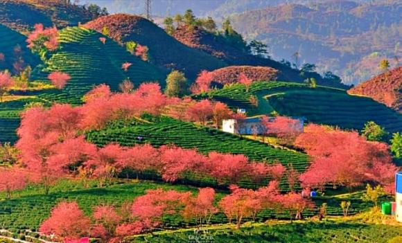 Sa Pa, vùng đất được mệnh danh là 