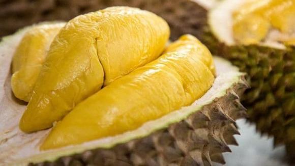 sầu riêng, giá sầu riêng, kiến thức