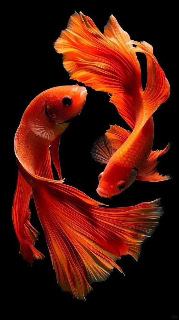 Trắc nghiệm tâm lý