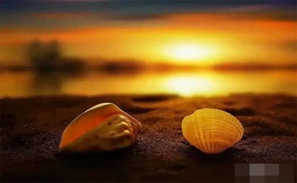 dạy con, nuôi dạy con, hiếu thảo