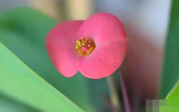 người thân, tình cảm, gia đình