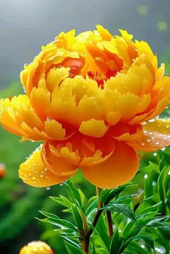 Trắc nghiệm tâm lý