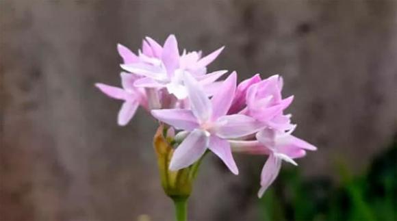  người giàu, người nghèo, cuộc sống