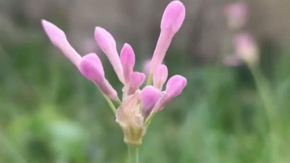  người giàu, người nghèo, cuộc sống
