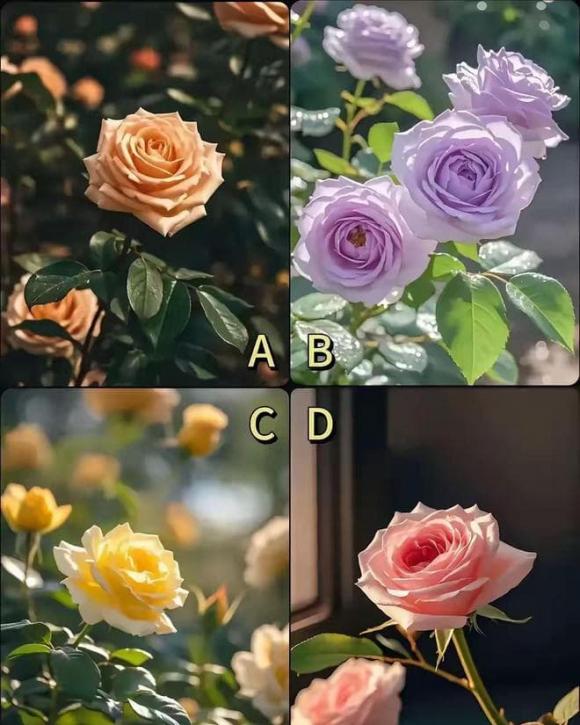Trắc nghiệm tâm lý