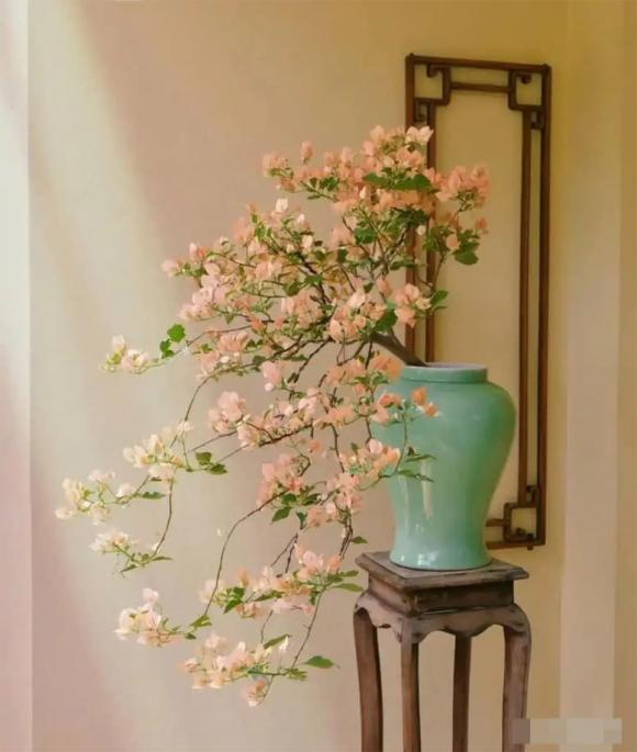 hoa giấy