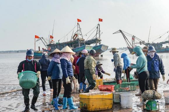 Tôm xuất khẩu, kim ngạch xuất khẩu tôm của việt nam