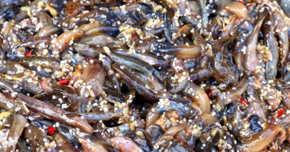 đặc sản, bubu, kiến thức