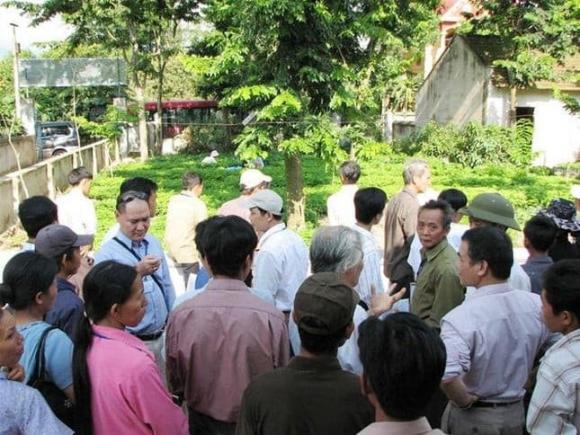 Cây sưa, gỗ sưa, cách ươm giống cây sưa