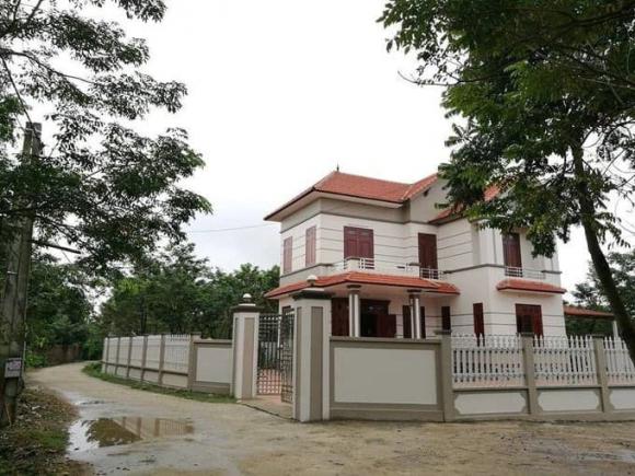Cây sưa, gỗ sưa, cách ươm giống cây sưa