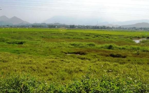 Đất bỏ hoang, luật đất đai