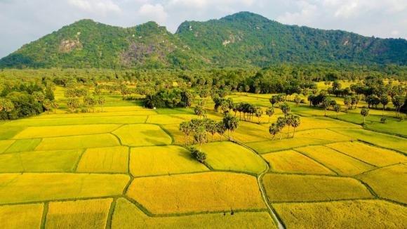 Luật đất đai, mức phạt bỏ hoang đất