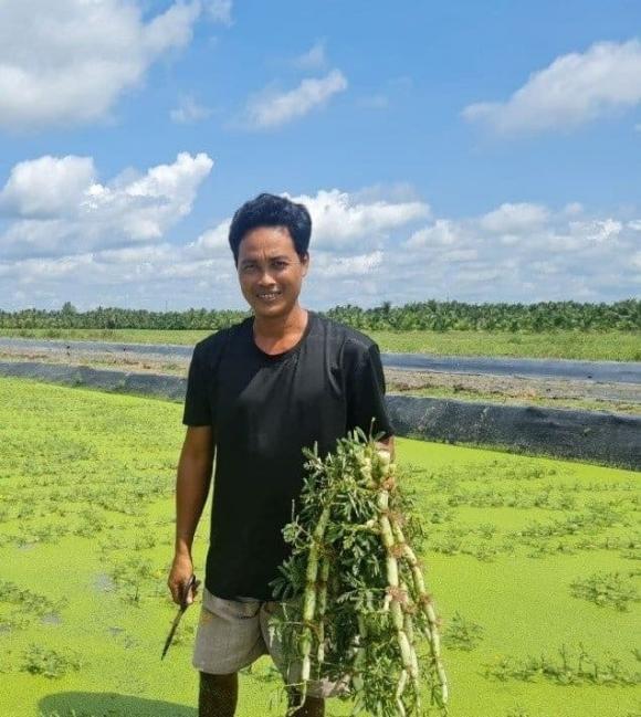 Rau đặc sản, rau nhút