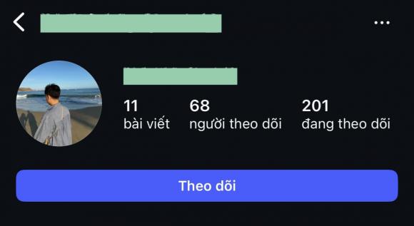 Hoa hậu Ý Nhi, sao Việt
