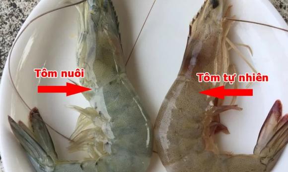 cách phân biệt tôm nuôi và tôm tự nhiên, mẹo hay, dạy nấu ăn