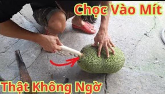 mít chín, cách làm mít chín, kiến thức