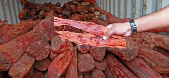 Gỗ quý, gỗ đàn hương