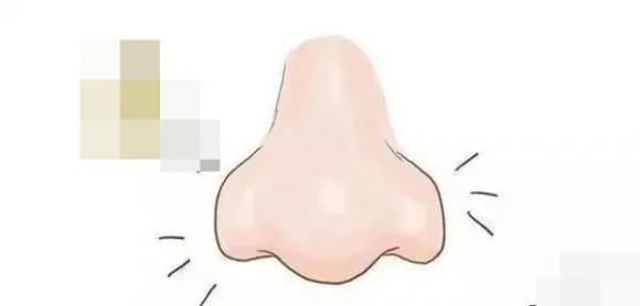 xem tướng, tướng mặt, tướng mặt giàu có