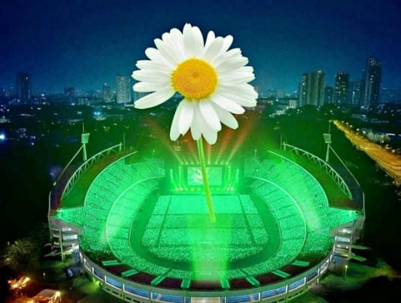 Hoa cúc thiếu cánh,  G-Dragon, thương hiệu thời trang Peaceminusone 