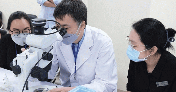 Chuyên gia cao cấp tại cơ quan của Đảng, Nhà nước, chế độ Chuyên gia cao cấp tại cơ quan của Đảng, Nhà nước