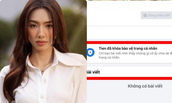 Hoa hậu Thùy Tiên, Nguyễn Thúc Thùy Tiên, sao Việt