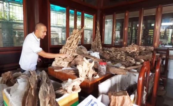 biệt phủ, nhà gỗ, kiến thức