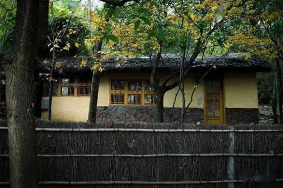 cuộc sống, mùa hè, mùa đông