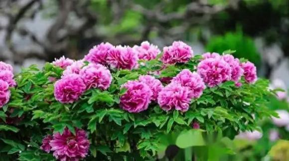 Trắc nghiệm tâm lý