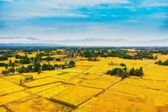 Trắc nghiệm tâm lý