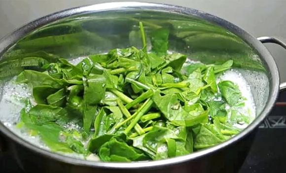 rau mồng tơi, rau mùa hè