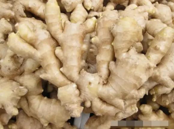gừng, bảo quản, mẹo hay