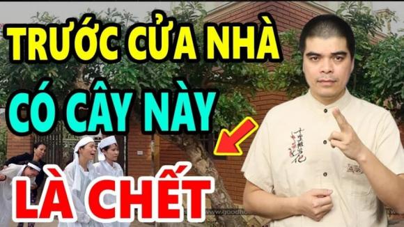 Cây phong thuỷ, cây không nên trồng trước nhà