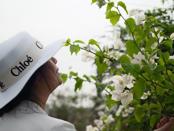 Sao Việt 20/5, tin sao việt mới nhất